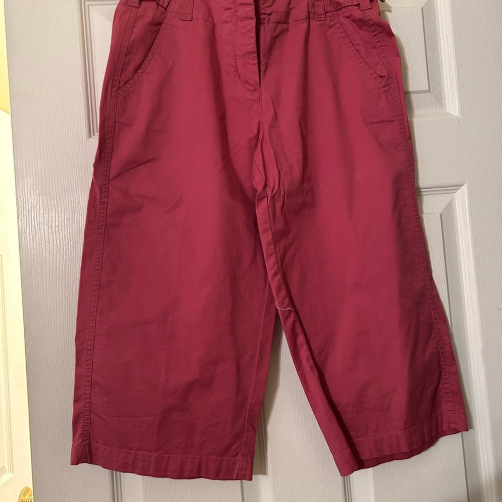 Pink Anthropologie capris.